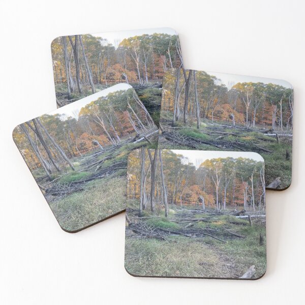Item preview, Where the Path Once Was designed and sold by Amanda1775.