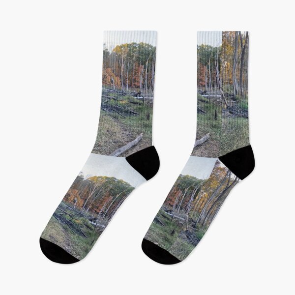 Item preview, Where the Path Once Was designed and sold by Amanda1775.