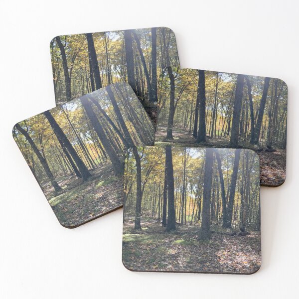 Item preview, Autumn Afternoon in the Forest  designed and sold by Amanda1775.
