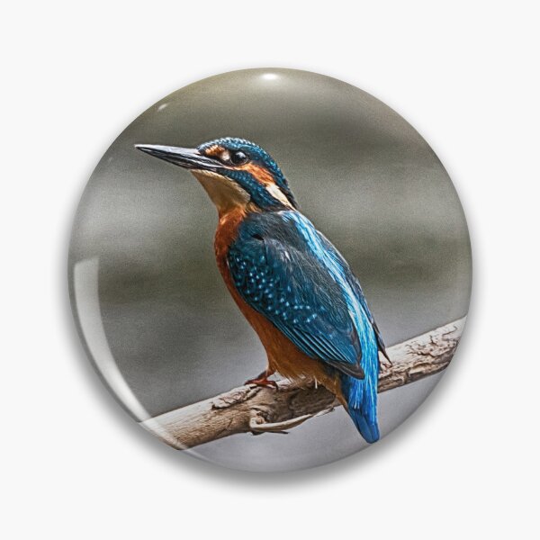 Item preview, Kingfisher Perch designed and sold by Andy Beattie.