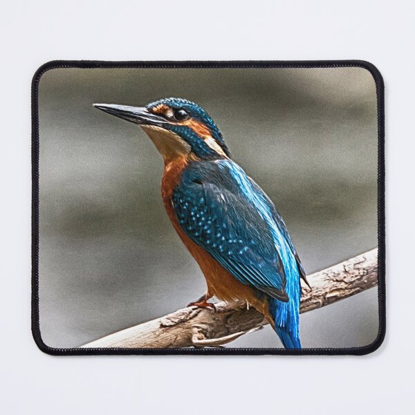Item preview, Kingfisher Perch designed and sold by Andy Beattie.