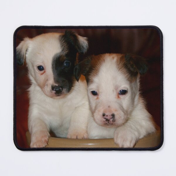 Item preview, Puppy Food designed and sold by Andy Beattie.