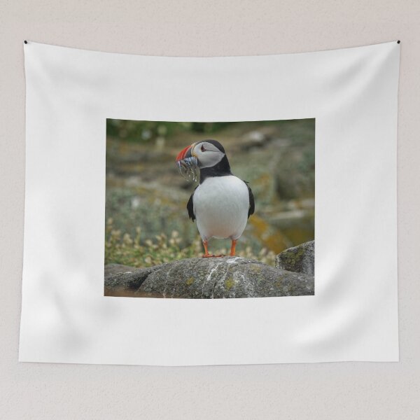Item preview, Atlantic Puffin designed and sold by AlbaPhotography.