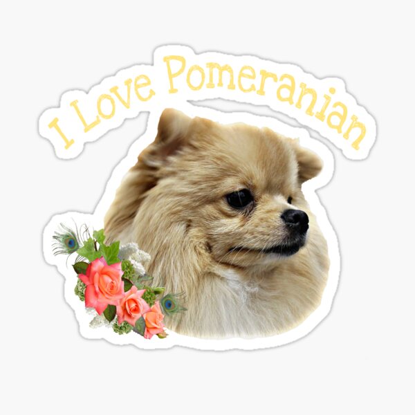 Pomeranian Auto Coasters Pomeranian Auto Coasters