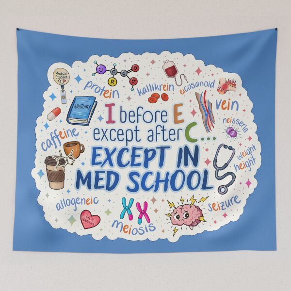 Item preview, I Before E… Except in Med School: Grammar Exceptions designed and sold by Olivia Ossege.