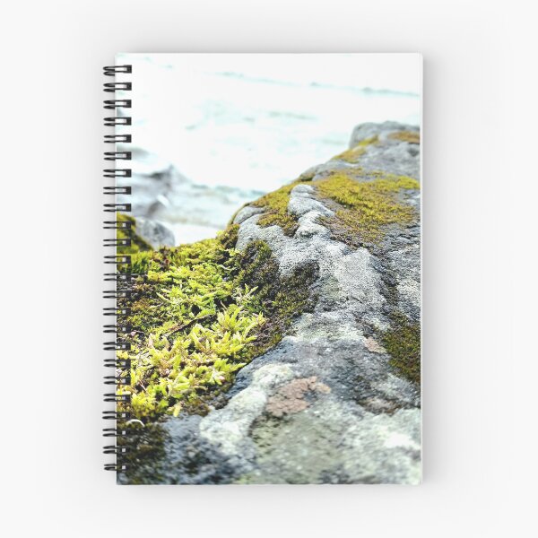 Item preview, Mossy views from Cave Point designed and sold by WilfuerM.