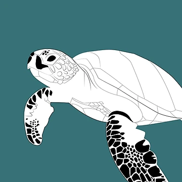 Artwork thumbnail, Turtle vector by AlmaAndLine