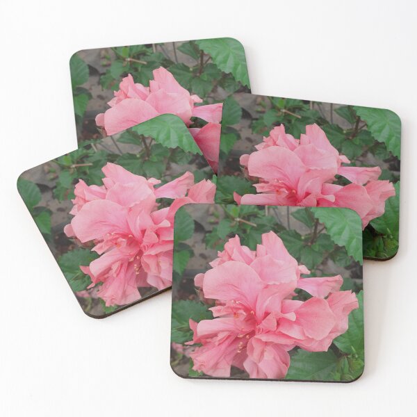 Item preview, Fancy Pink designed and sold by RosJoy.
