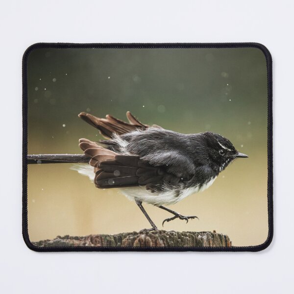 Item preview, Willie wagtail or Rhipidura leucophrys designed and sold by robdwildlife.
