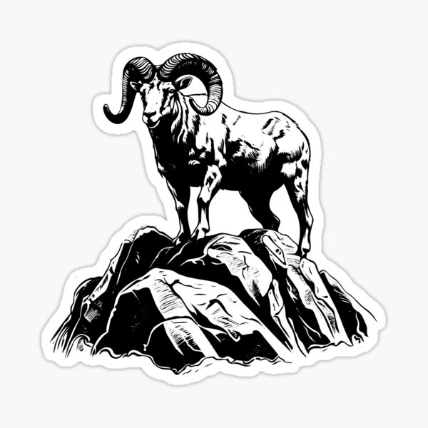 Item preview, Widder Dickhornschaf Kopf Gebogenes Geweih Ovis Aries Wiederkäuer Tier designed and sold by inkoutninja.