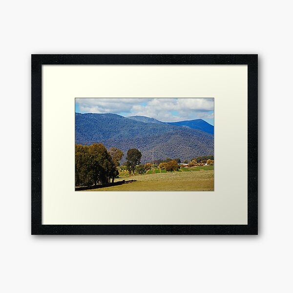 Item preview, Cows Backyard Playground  designed and sold by Joy Watson - Natural Light Photography .