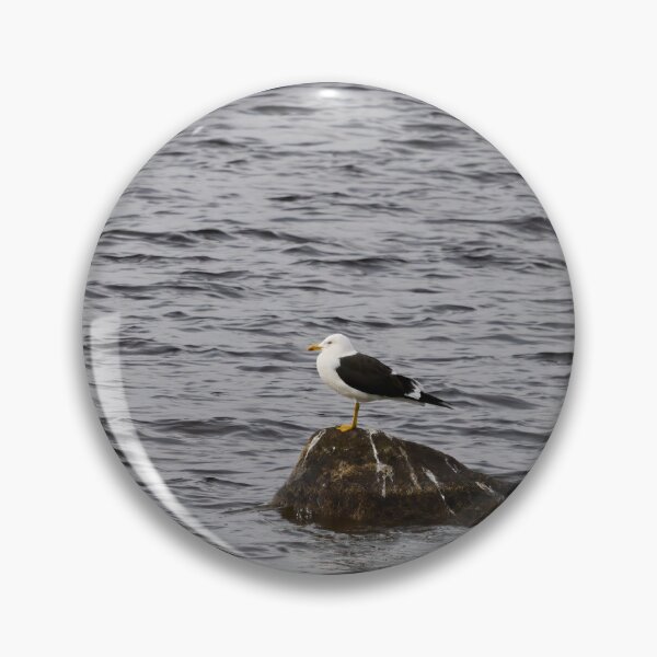 Item preview, On a windy day. Lesser black-backed gull designed and sold by Jouko Lehto Photography.