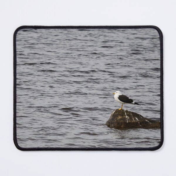 Item preview, On a windy day. Lesser black-backed gull designed and sold by Jouko Lehto Photography.