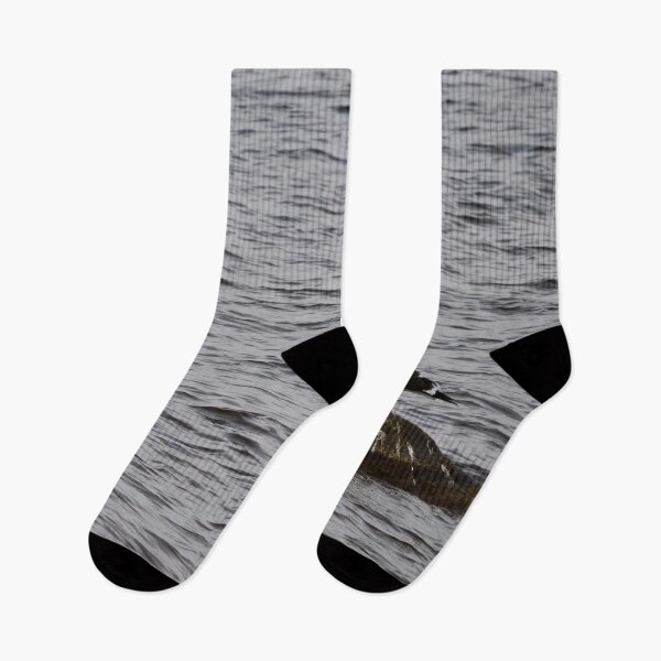 Item preview, On a windy day. Lesser black-backed gull designed and sold by Jouko Lehto Photography.