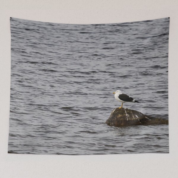 Item preview, On a windy day. Lesser black-backed gull designed and sold by Jouko Lehto Photography.