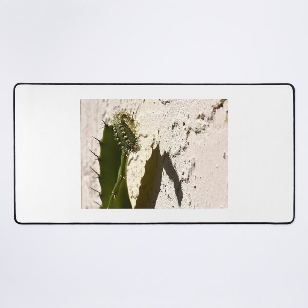 Item preview, Cactus Shadow designed and sold by MercerImages.