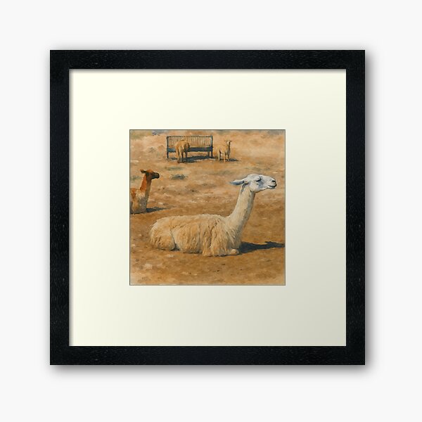 Item preview, Llama resting designed and sold by Beautiful Views.