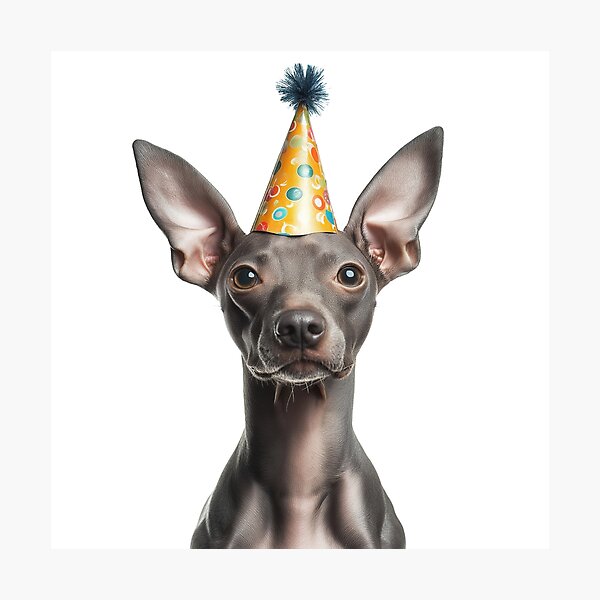 Vista previa del artículo con la obra «Lindo perro terrier americano sin pelo con sombrero de fiesta para celebrar su cumpleaños», diseñado y vendido por LazyOwlStore.
