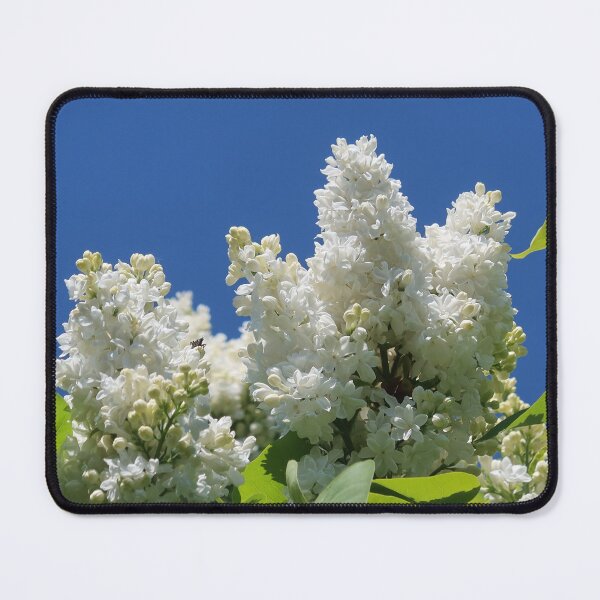 Item preview, White lilacs designed and sold by Trine.