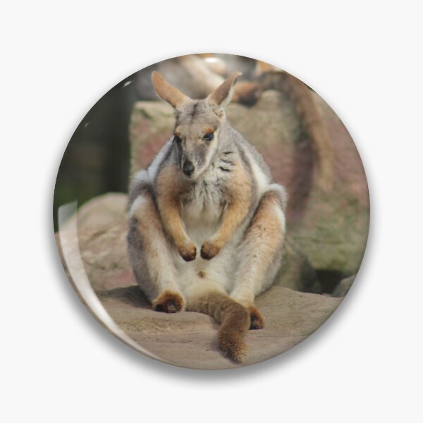 Item preview, Rock Wallaby RP designed and sold by RREID84.
