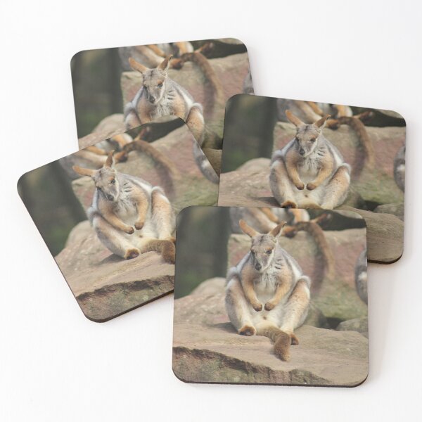 Item preview, Rock Wallaby RP designed and sold by RREID84.