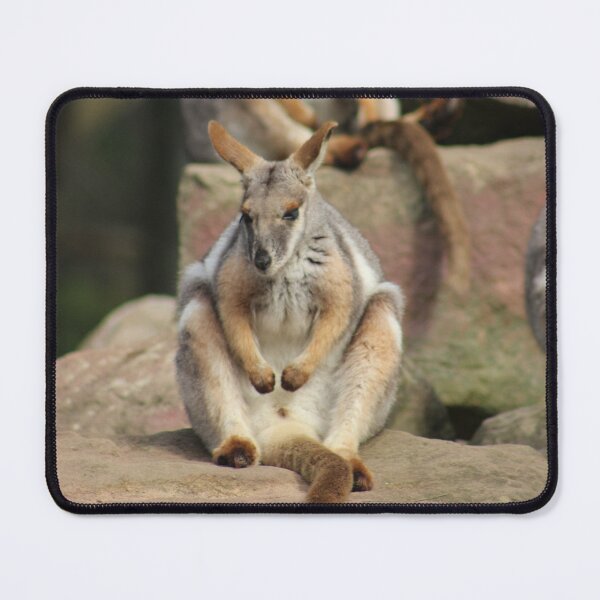 Item preview, Rock Wallaby RP designed and sold by RREID84.