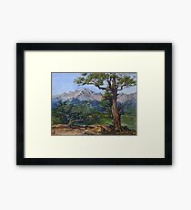 Colorado Rocky Mountains Painting - Oil Framed Print
