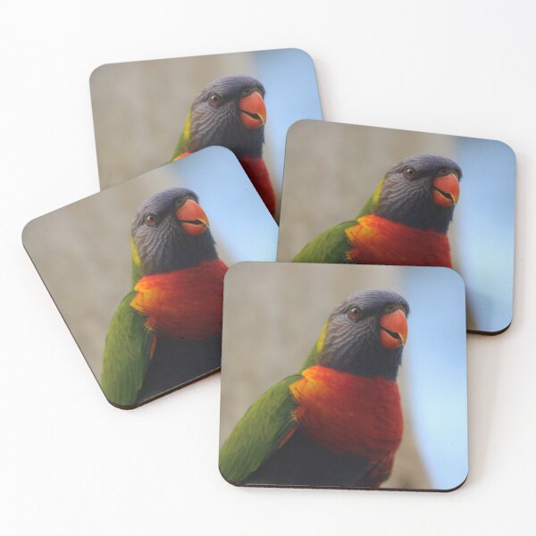 Item preview, LORIKEET RP designed and sold by RREID84.