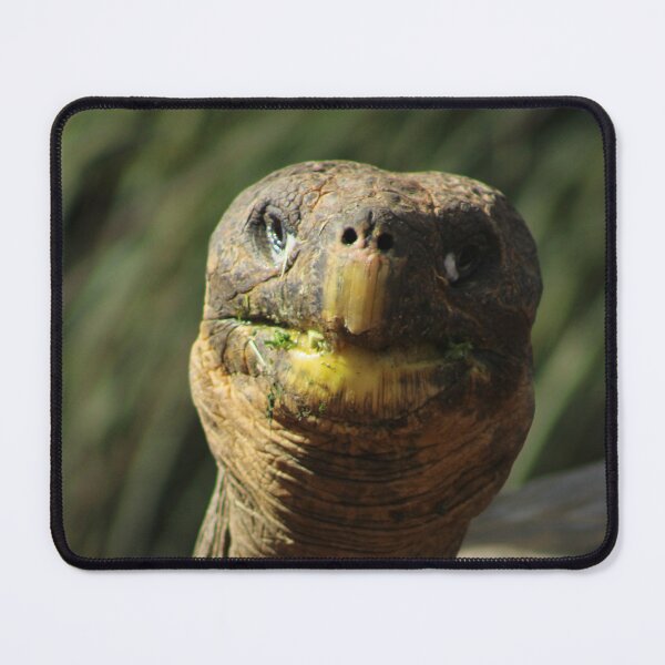 Item preview, Tort HUGO designed and sold by RREID84.