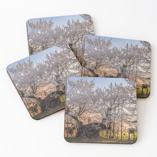 Item preview, Majestic Yamataka Jindai Zakura – Centuries-Old Cherry Blossom Tree in Yamanashi, Japan designed and sold by Pix4Japan.