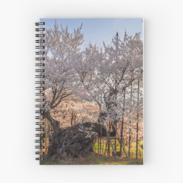 Item preview, Majestic Yamataka Jindai Zakura – Centuries-Old Cherry Blossom Tree in Yamanashi, Japan designed and sold by Pix4Japan.