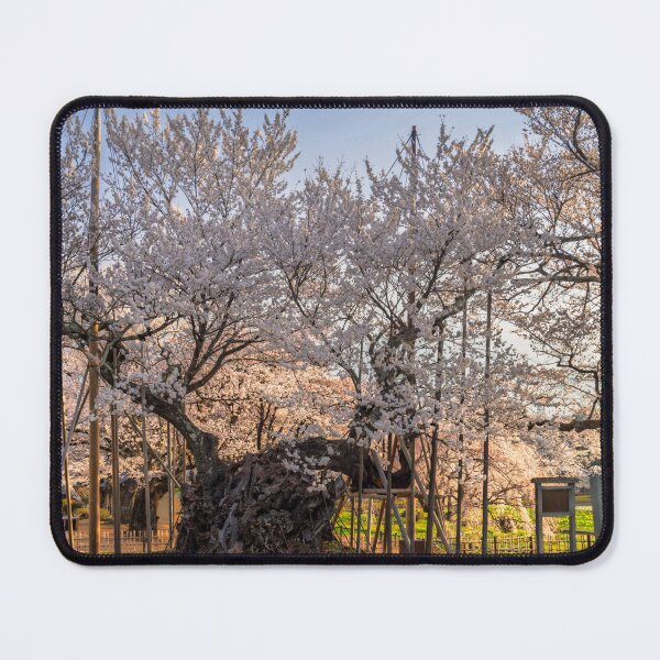 Item preview, Majestic Yamataka Jindai Zakura – Centuries-Old Cherry Blossom Tree in Yamanashi, Japan designed and sold by Pix4Japan.