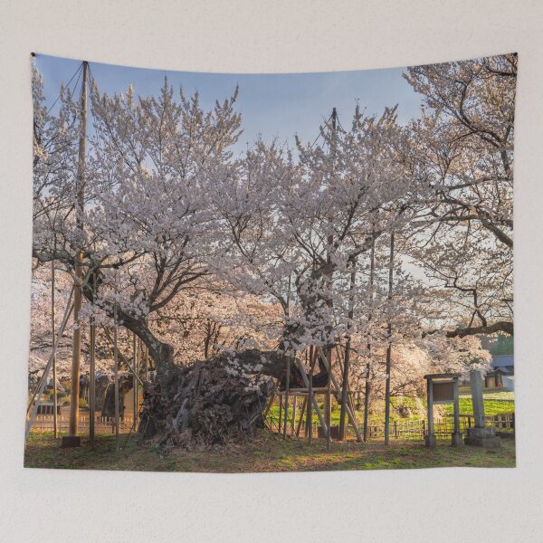 Item preview, Majestic Yamataka Jindai Zakura – Centuries-Old Cherry Blossom Tree in Yamanashi, Japan designed and sold by Pix4Japan.