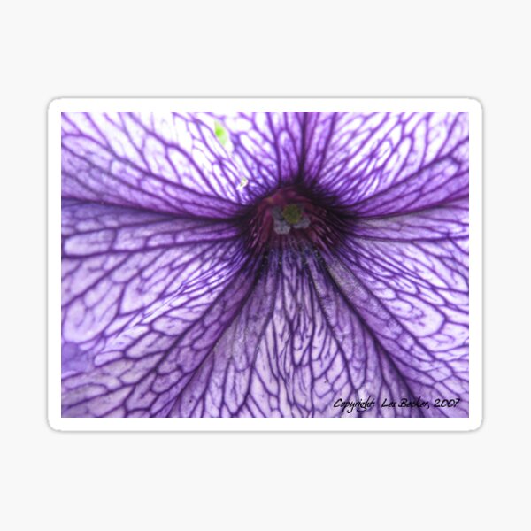 Purple Veinity Sticker
