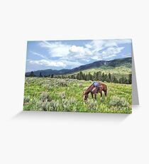 Montana High Country 5 - Transportation Greeting Card