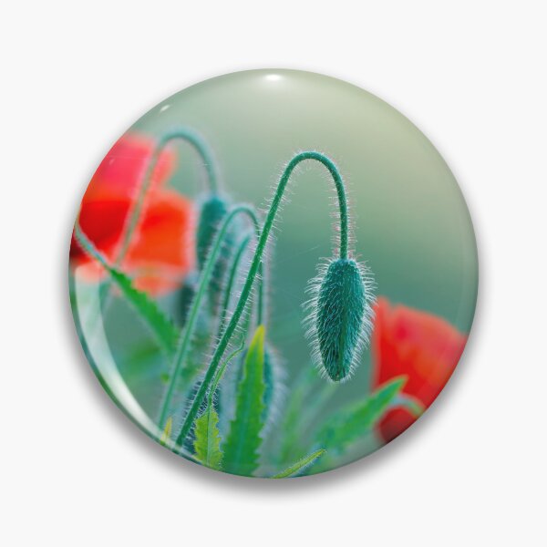 Item preview, Red Poppies - Papaver-rhoeas designed and sold by Dorset Girl.