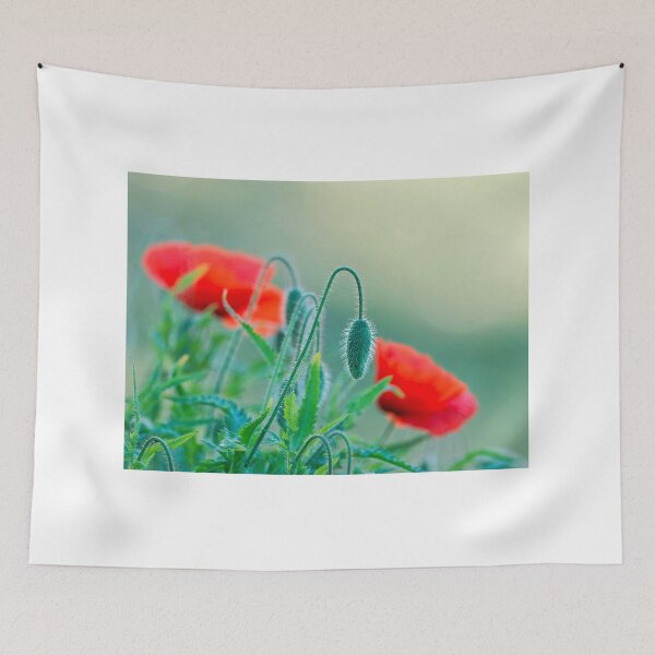 Item preview, Red Poppies - Papaver-rhoeas designed and sold by Dorset Girl.
