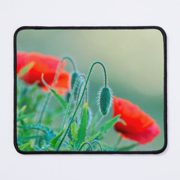 Item preview, Red Poppies - Papaver-rhoeas designed and sold by Dorset Girl.