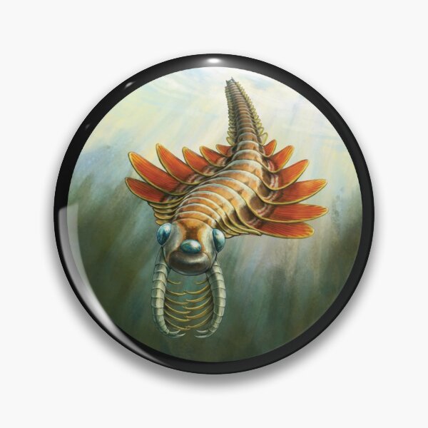 Item preview, Fossils -Ancient arthropod - paleontologists   designed and sold by SentientGallery.