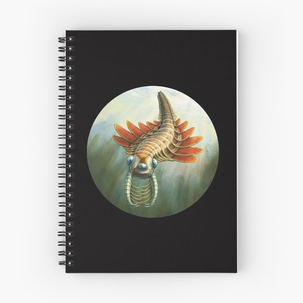 Item preview, Fossils -Ancient arthropod - paleontologists   designed and sold by SentientGallery.