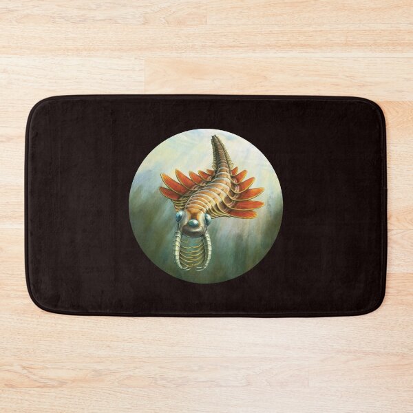 Item preview, Fossils -Ancient arthropod - paleontologists   designed and sold by SentientGallery.