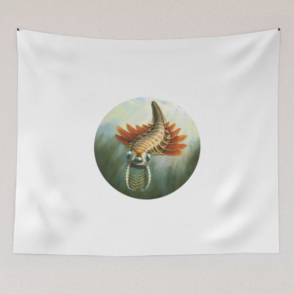Item preview, Fossils -Ancient arthropod - paleontologists   designed and sold by SentientGallery.