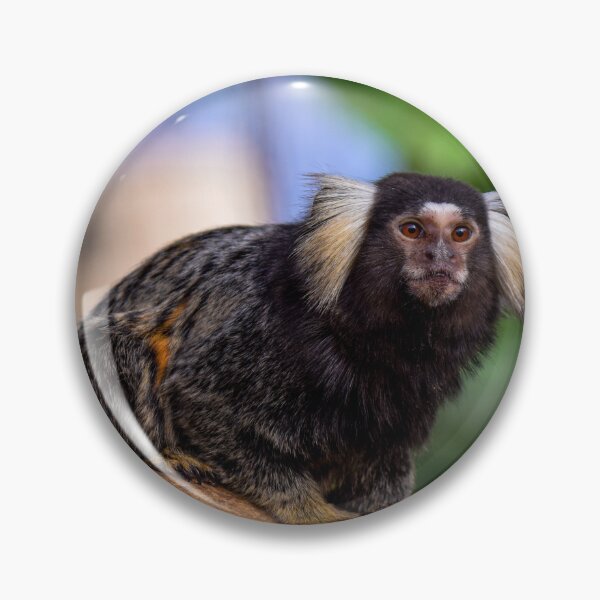 Item preview, Marmoset Kobe Japan designed and sold by BoganBirdCo.