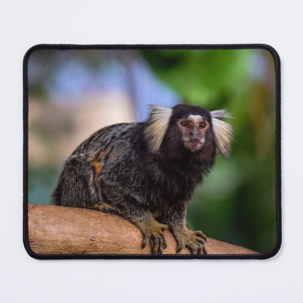 Item preview, Marmoset Kobe Japan designed and sold by BoganBirdCo.