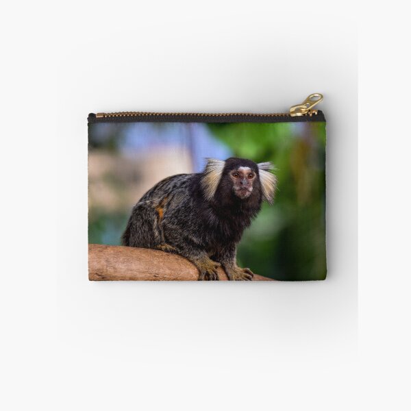 Item preview, Marmoset Kobe Japan designed and sold by BoganBirdCo.