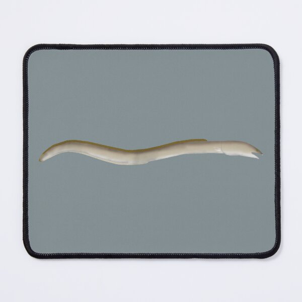 Item preview, Longfin Snake-eel designed and sold by fishfolkart.