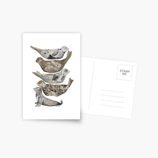 Item preview, Seals of La Jolla designed and sold by LIMEZINNIASDES.