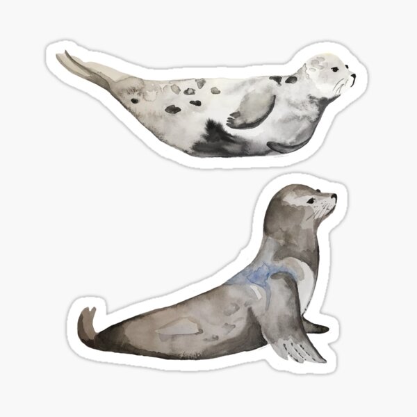 Item preview, Seals of La Jolla designed and sold by LIMEZINNIASDES.