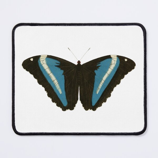 Item preview, Peacock Swallowtail designed and sold by jimonym.