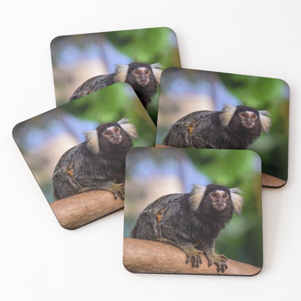 Item preview, Marmoset Kobe Japan designed and sold by BoganBirdCo.